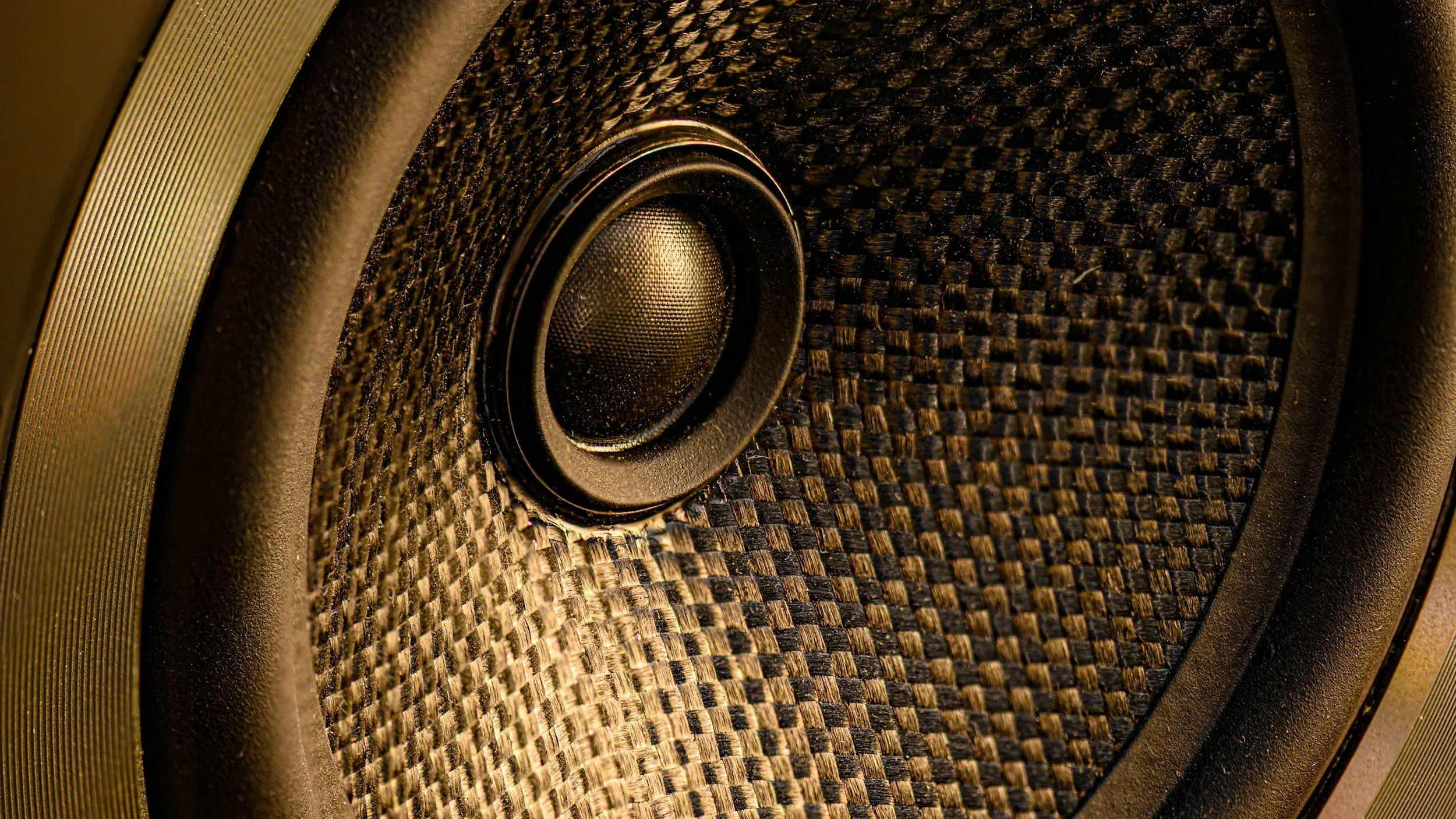Close-up van een speakerconus met de tweeter in het midden